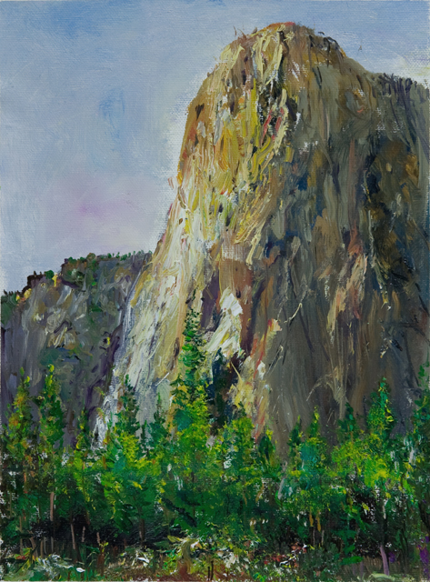 yellow stone 015